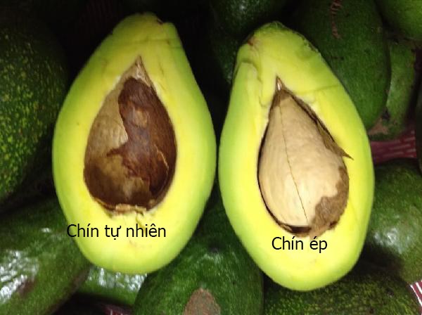 Tuyệt chi&ecirc;u ph&acirc;n biệt quả ch&iacute;n c&acirc;y v&agrave; ch&iacute;n &eacute;p bằng mắt thường