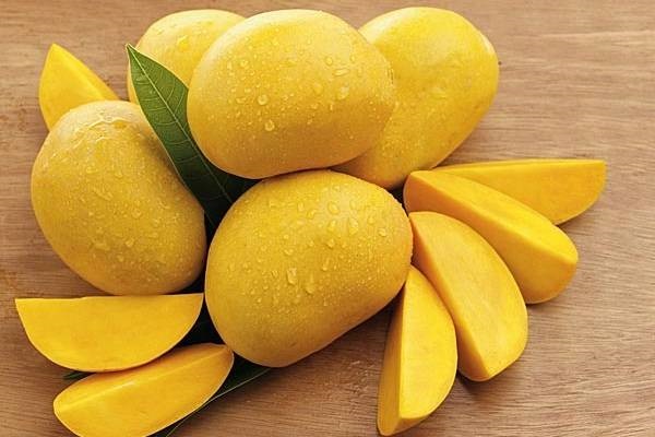 C&aacute;ch l&agrave;m sữa chua xo&agrave;i