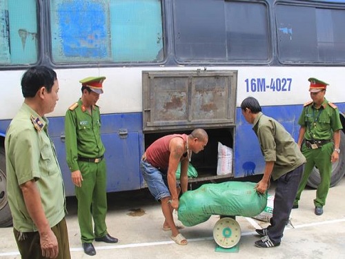 Thanh H&oacute;a: Bắt xe kh&aacute;ch vận chuyển nửa tấn nội tạng, b&igrave; lợn thối đi ti&ecirc;u thụ