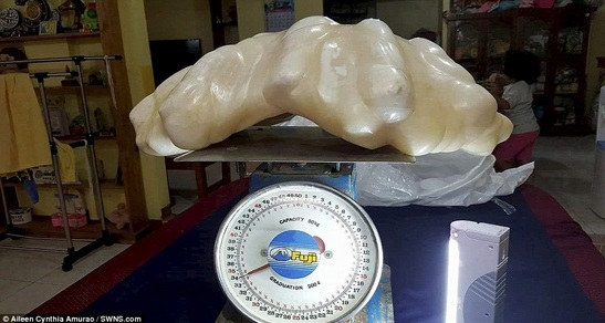Khối ngọc trai c&oacute; bề ngang 0,3 m&eacute;t, d&agrave;i 0,7 m&eacute;t do một ngư d&acirc;n t&igrave;m được. Ảnh: Internet