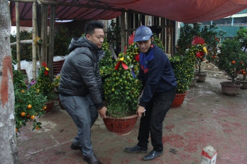 quat-canh-hinh-ga-tien-trieu-gay-sot-thi-truong-tet-dinh-dau