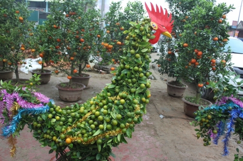 quat-canh-hinh-ga-tien-trieu-gay-sot-thi-truong-tet-dinh-dau