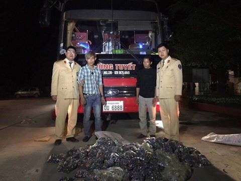 phat-hien-hon-28000-qua-phao-tren-xe-khach-bien-so-lao