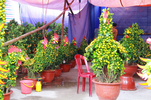 quat-canh-hinh-ga-tien-trieu-gay-sot-thi-truong-tet-dinh-dau