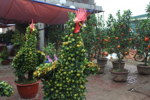 quat-canh-hinh-ga-tien-trieu-gay-sot-thi-truong-tet-dinh-dau