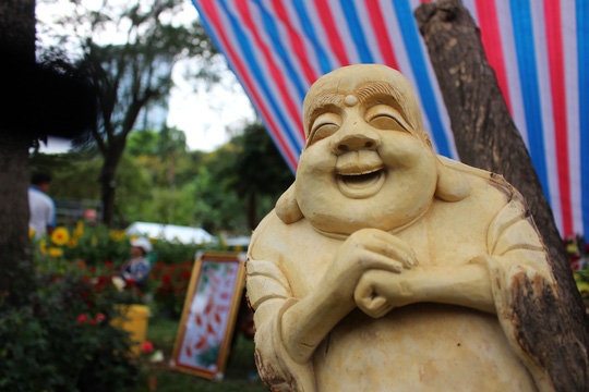 cay-kieng-dieu-khac-gia-tien-trieu-hut-khach-o-sai-gon