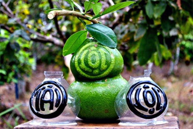 trai-cay-khac-chu-doc-dao-nhat-cho-ngay-tet