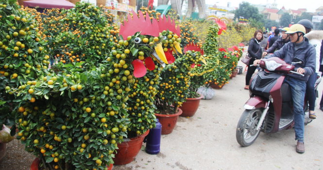 muon-kieu-tao-hinh-doc-la-don-tet-dinh-dau