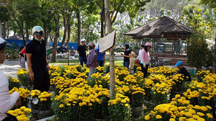tieu-thuong-vut-hang-tram-cay-dao-cuc-vao-xe-rac