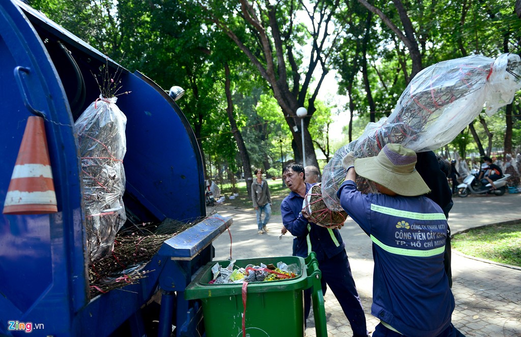 tieu-thuong-vut-hang-tram-cay-dao-cuc-vao-xe-rac