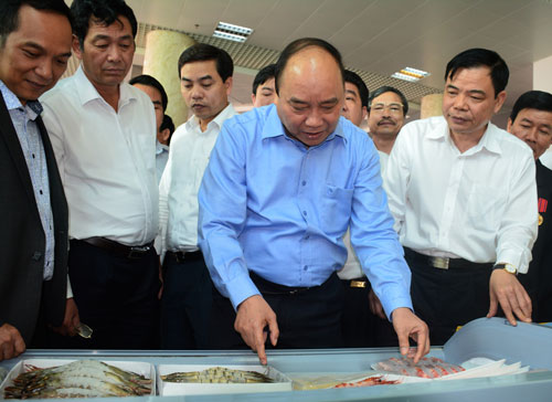 viet-nam-tro-thanh-thu-phu-tom-the-gioi