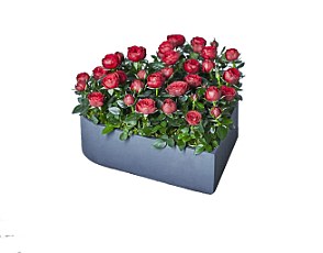 nhung-mon-qua-valentine-2017-y-nghia-ma-ban-gai-nao-cung-thich