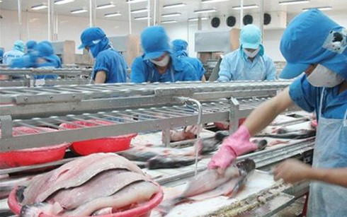 tap-doan-carrefour-ngung-mua-ca-tra-viet-nam-nguyen-nhan-do-dau