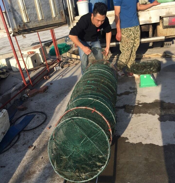 nuoi-tom-the-chan-trang---nguoi-dan-ong-di-len-tu-2-ban-tay-trang