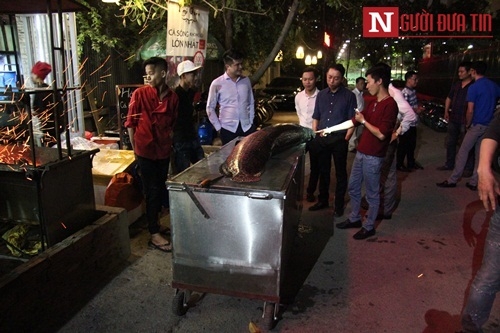 ha-noi-xuat-hien-ca-hai-tuong-nang-81kg-dai-gan-2m