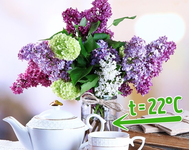 10 c&aacute;ch đơn giản giữ hoa 'l&acirc;u nhất c&oacute; thể'
