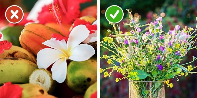 10 c&aacute;ch đơn giản giữ hoa 'l&acirc;u nhất c&oacute; thể'