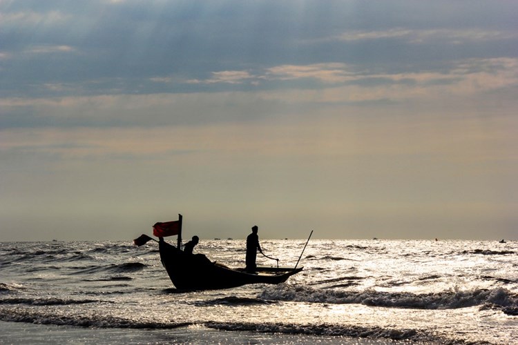 ngu-dan-kiem-tien-trieu-moi-ngay-tu-viec-san-vang-trang