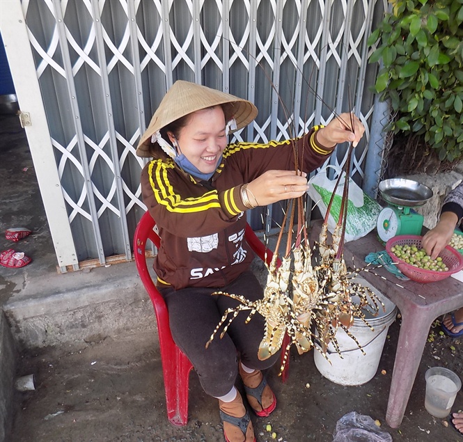 cam-ranh-tom-hum-chet-hang-loat-gay-thiet-hai-lon