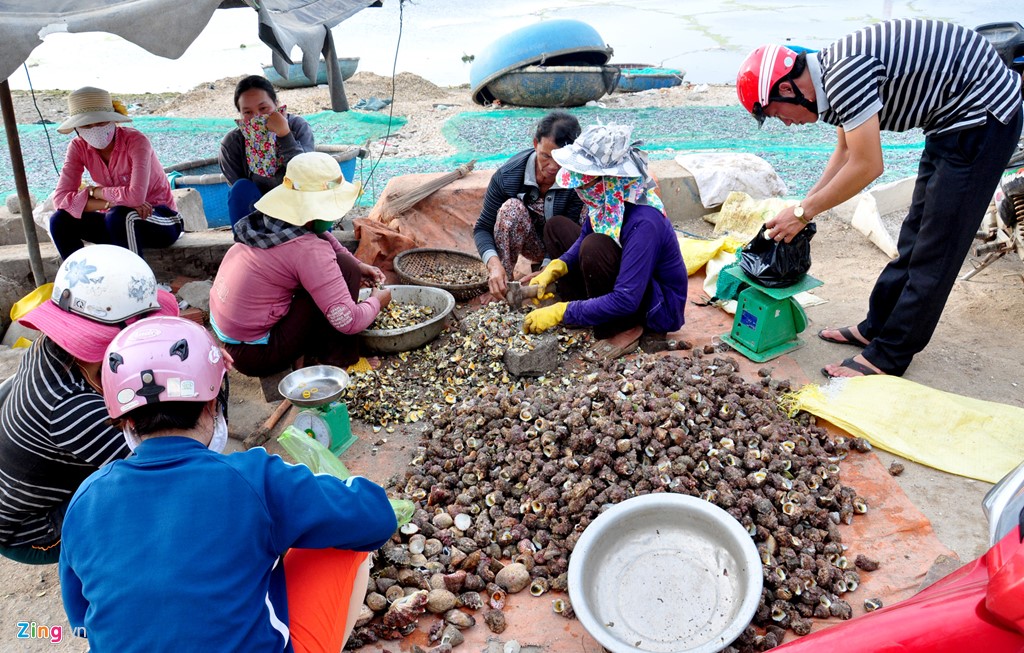 dan-dao-ly-son-kiem-bac-trieu-moi-ngay-tu-san-oc-mat-trang