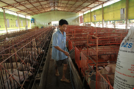 nong-san-viet-mat-gia-the-tham-vi-thuong-lai-ngung-mua