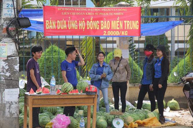 quang-ngai-lap-duong-day-nong-giai-cuu-dua-hau