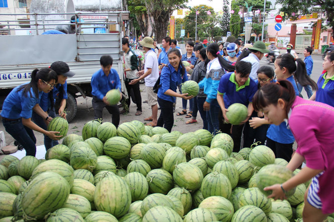 quang-ngai-lap-duong-day-nong-giai-cuu-dua-hau