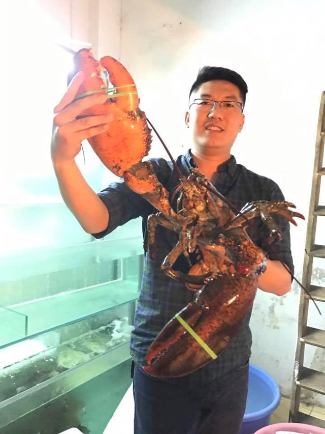 dan-ha-thanh-san-tom-hum-canada-nang-5-6kg