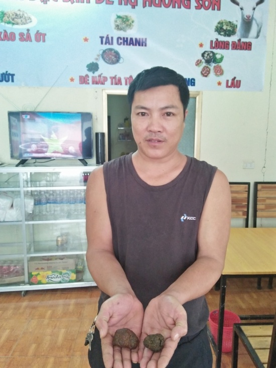 nghe-an-phat-hien-vat-the-la-trong-bung-de-dai-gia-tra-tram-trieu-khong-ban