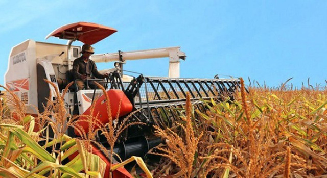 lien-tuc-giam-co-phieu-hoang-anh-gia-lai-boc-hoi-hon-14