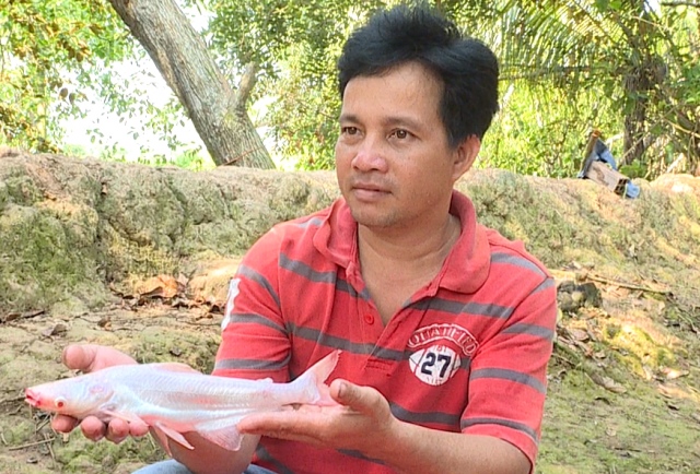 nong-dan-ben-tre-bat-duoc-ca-la-hiem-thay nong-dan-ben-tre-bat-duoc-ca-la-hiem-thay