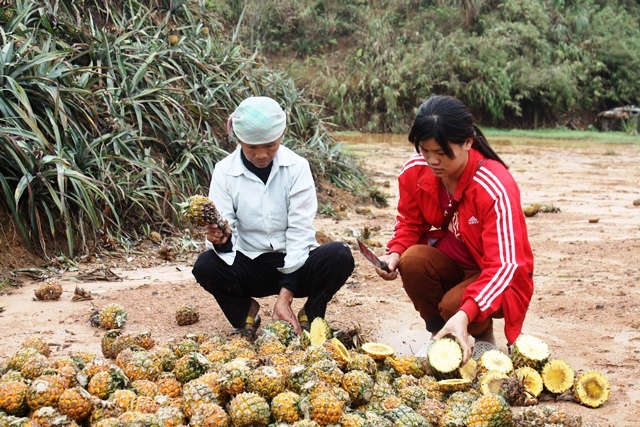 vu-dua-thoi-o-lao-cai-vi-sao-nguoi-dan-khong-dong-tinh-phuong-an-den-bu-44-trieu-dongha