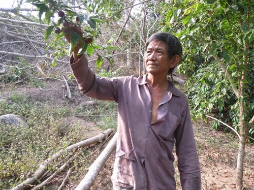 thu-lai-khung-tu-viec-trong-cay-hong-quan