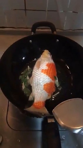 ba-noi-tro-choi-troi-ran-ca-koi-tram-trieu-de-an