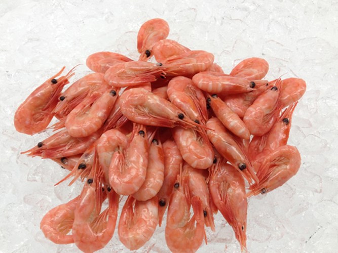 tom-bac-cuc-400000-dongkg-gay-sot-ha-thanh-co-gi-dac-biet