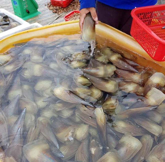 ha-tinh-kiem-tien-trieu-moi-ngay-nho-trung-so-mai