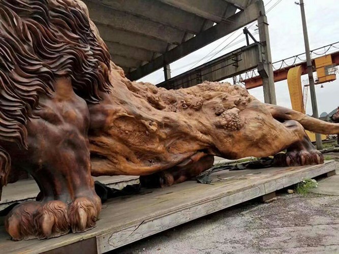 tuong-su-tu-khong-lo-duoc-lam-tu-go-quy-khien-nguoi-xem-choang-ngop