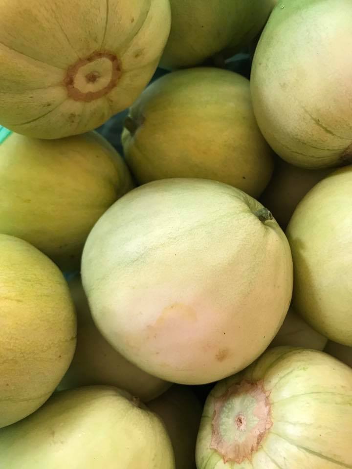 cach-chon-dua-le-ngot-lim-don-gian