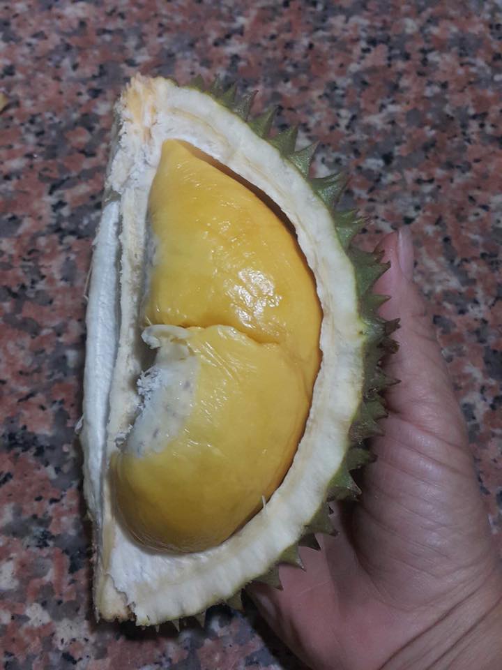 sau-rieng-mini-co-gia-bao-nhieu-tai-thai-lan