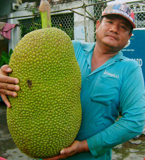 soc-trang-xon-xao-qua-mit-khung-25kg-tra-gia-gan-400-nghin-khong-ban