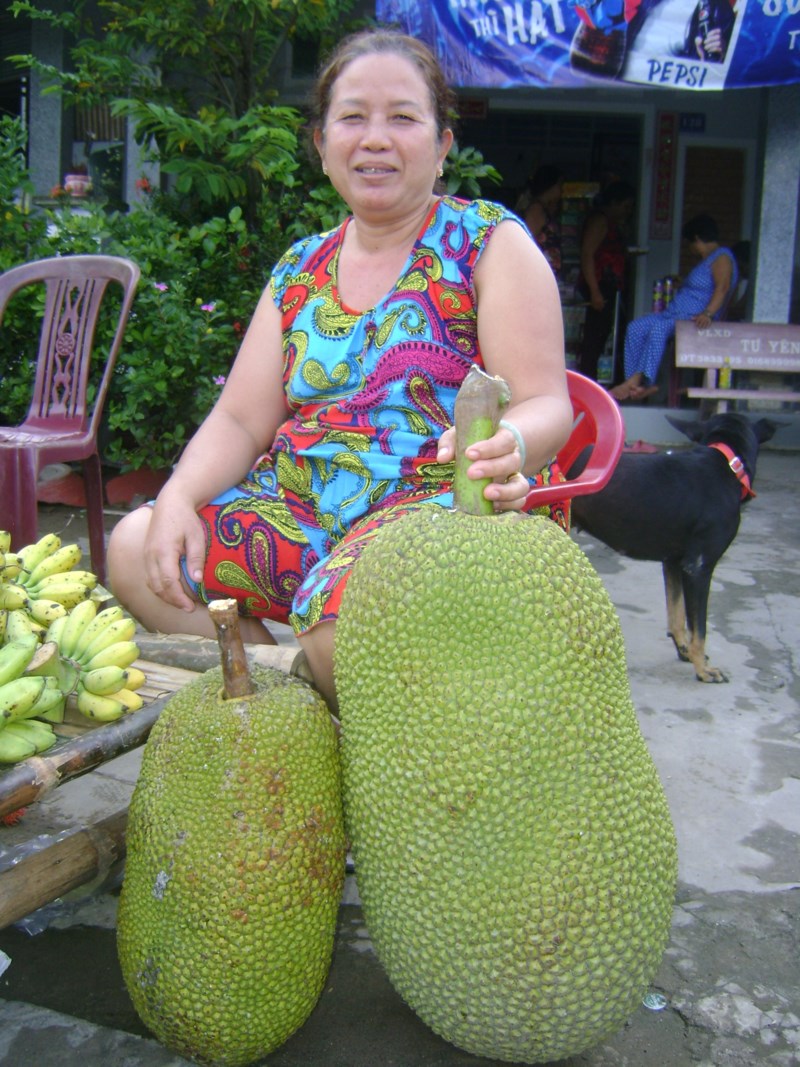 soc-trang-xon-xao-qua-mit-khung-25kg-tra-gia-gan-400-nghin-khong-ban