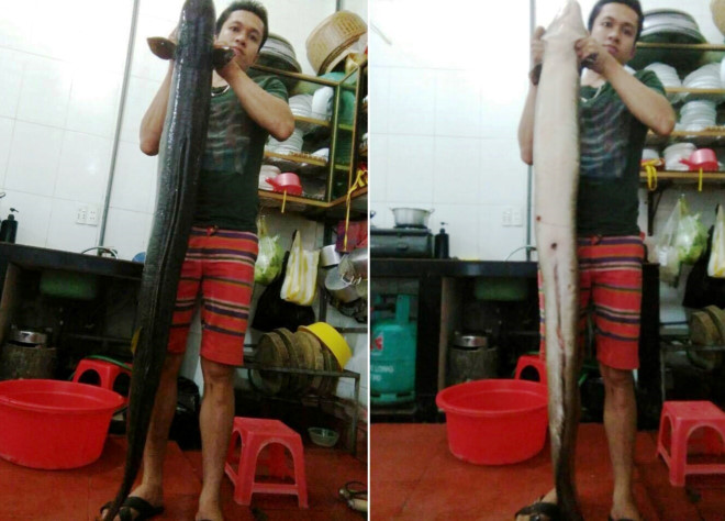 nghe-an-ca-lech-khung-dai-gan-2m-nang-15-kg-mac-cau-ngu-dan