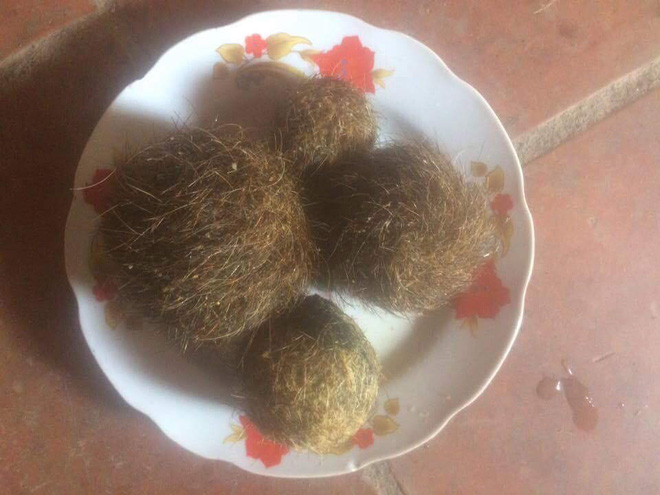 nghe-an-mo-lon-nai-phat-hien-4-vat-la-nghi-cat-lon-tien-ty