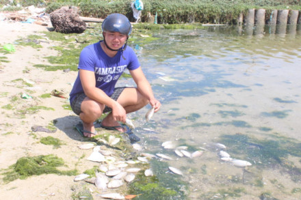 thuy-san-chet-o-khanh-hoa-nha-may-den-bu-66-ty-dong-cho-cac-ho-dan-thiet-hai