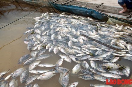 400-tan-ca-chet-do-thuy-dien-hoa-binh-xa-lu-nguoi-dan-se-duoc-ho-tro