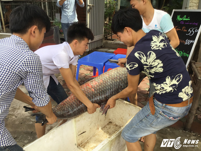 thuy-quai-ho-thac-ba-nang-hon-nua-ta-boi-tu-thac-ba-ve-ha-noi