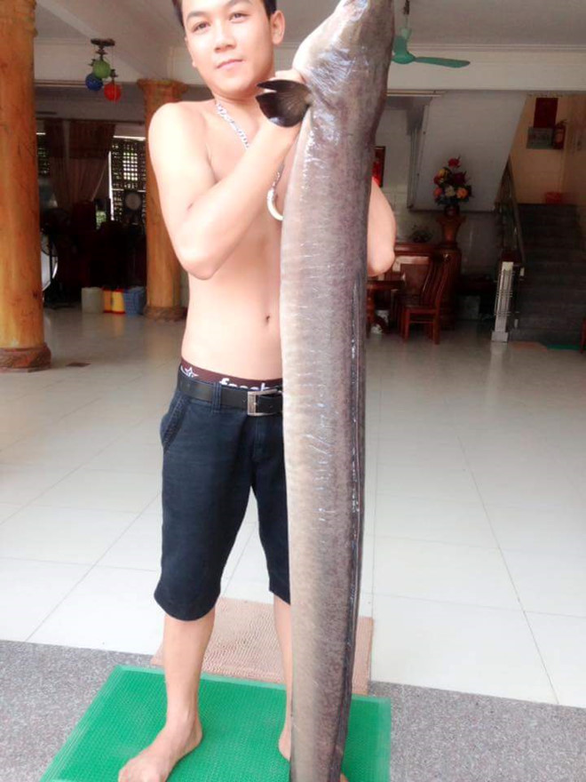 nghe-an-ca-lech-khung-mac-luoi-ngu-dan-duoc-ban-voi-gia-20-trieu-dong