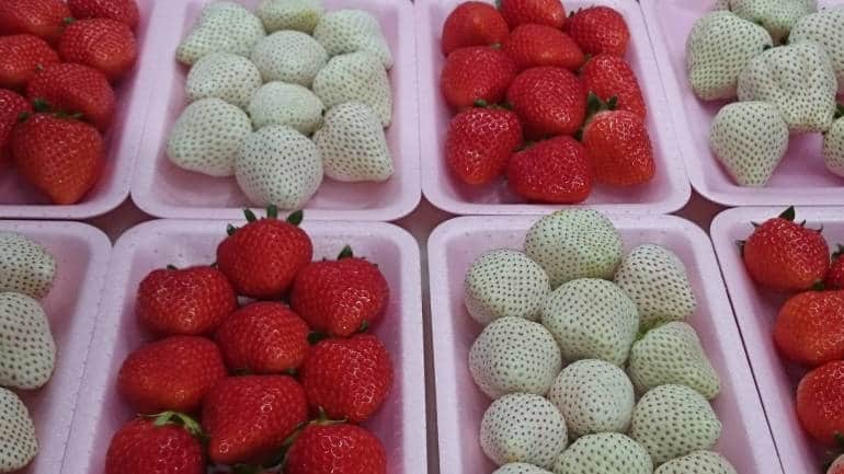 dau-tay-trang-gia-khung-230000-dongqua-nua-lang-co-gi-dac-biet