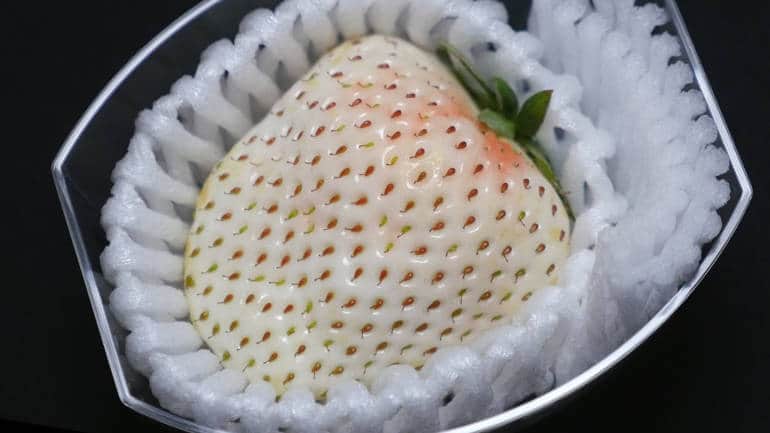 dau-tay-trang-gia-khung-230000-dongqua-nua-lang-co-gi-dac-biet