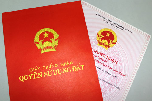 sang-ten-so-do-phai-chiu-10-thue-vat